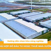 Hướng dẫn chọn khu công nghiệp phù hợp để đầu tư hoặc thuê nhà xưởng