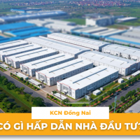 Mua đất KCN Đồng Nai: Có gì hấp dẫn nhà đầu tư?