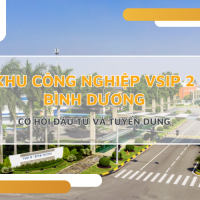 Chi tiết về khu công nghiệp VSIP 2 Bình Dương: Cơ hội đầu tư hấp dẫn