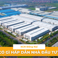 Mua đất KCN Đồng Nai: Có gì hấp dẫn nhà đầu tư?