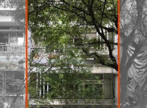 CHO THUÊ MẶT BẰNG NGUYỄN TRUNG TRỰC QUẬN 1