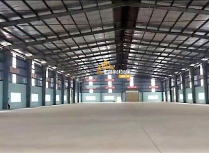 Kho trống cho thuê gấp Quốc lộ 22, quận 12; dt 1.000m2 xe con vào được