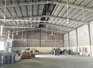 Cho thuê KCN VSIP2 Bình Dương – Nhà xưởng tiêu chuẩn