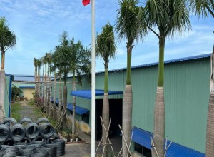 Cho thuê kho xưởng tại Long Thành, Đồng Nai
