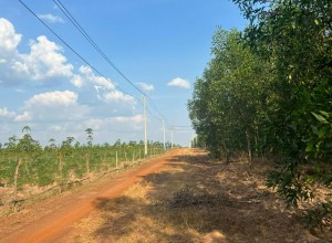 Cho thuê đất công nghiệp Lộc Tấn, Lộc Ninh, Bình Phước