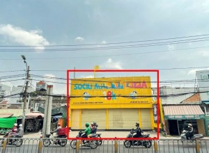 Cho thuê mặt bằng Tân Bình – Diện tích 530m², vị trí đẹp