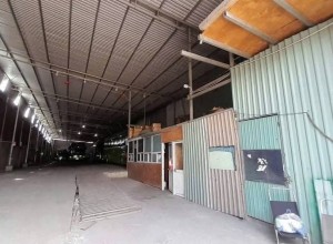Cho thuê kho xưởng Quận 12, TP. Hồ Chí Minh - Diện tích 1000m2