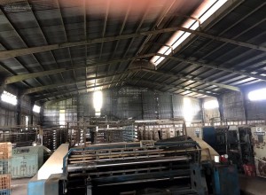 Cho Thuê Kho Xưởng 3.500 m² Hóc Môn, TP. Hồ Chí Minh