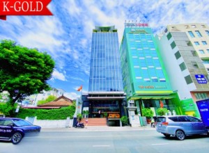 Cho thuê Tòa Nhà Nguyễn Thị Minh Khai Q1 Ngang 6m DTSD 1100m2