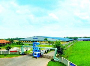 Cho Thuê KCN Tại Củ Chi, TP.HCM