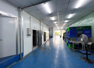 Thuê kho xưởng tại quận 2 – 250m², giá 4.8 USD/m²/tháng, ngay An Phú, Mai Chí Thọ