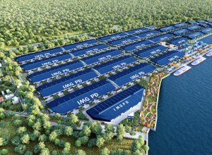 NHÀ XƯỞNG, KHO BÃI XÂY SẴN CHO THUÊ TẠI KCN CẦU CẢNG PHƯỚC ĐÔNG, LONG AN