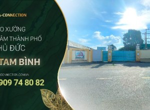 CHO THUÊ KHO XƯỞNG DIỆN TÍCH CÓ SẴN TỪ 1000M2 - 15000M2 VẬN HÀNH NGAY 