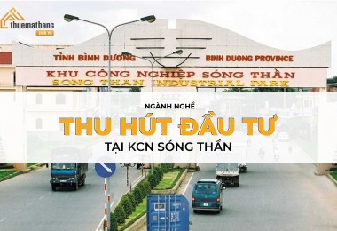 Danh sách các ngành nghề thu hút đầu tư tại KCN Sóng Thần