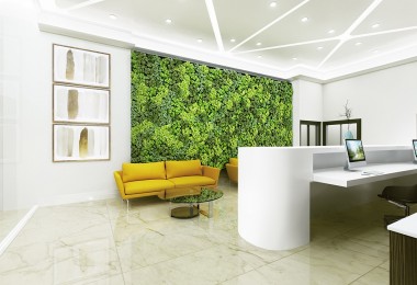 Biophilic Design - Phong cách thiết kế kiến trúc văn phòng hiện đại bậc nhất