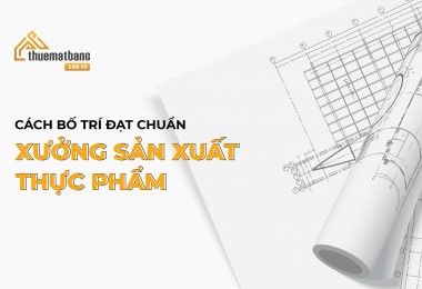 Cách bố trí xưởng sản xuất thực phẩm đạt chuẩn