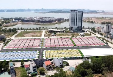 Cơ hội cuối năm cho các nhà đầu tư thị trường Bất động sản nhiều kinh nghiệm