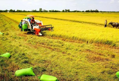 Giá đền bù đất nông nghiệp khi bị thu hồi