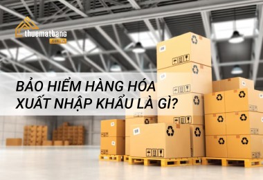 Bảo hiểm hàng hóa xuất nhập khẩu là gì? Tại sao phải mua bảo hiểm hàng hóa xuất nhập khẩu