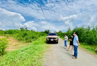 Mua bất động sản giá rẻ ở thời điểm hiện tại có hợp lý không?