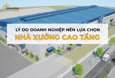 Giải ngố! Lý do doanh nghiệp nên lựa chọn nhà xưởng cao tầng
