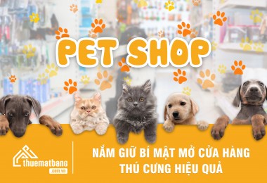 Nắm giữ bí mật mở cửa hàng thú cưng hiệu quả