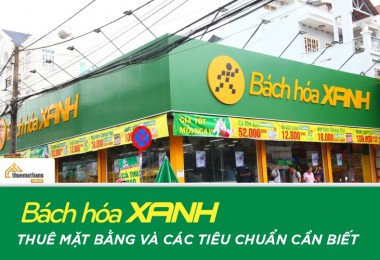 Bách Hóa Xanh thuê mặt bằng và các tiêu chuẩn cần biết