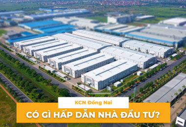 Mua đất KCN Đồng Nai: Có gì hấp dẫn nhà đầu tư?