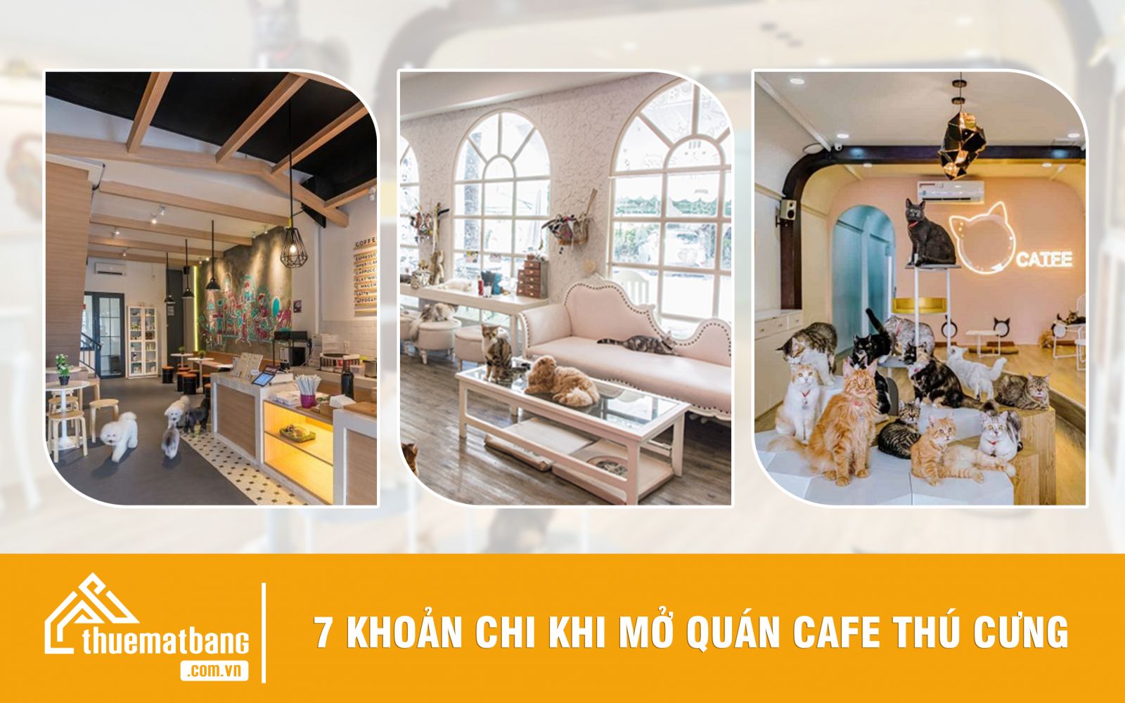 chi phí mở quán cafe thú cưng