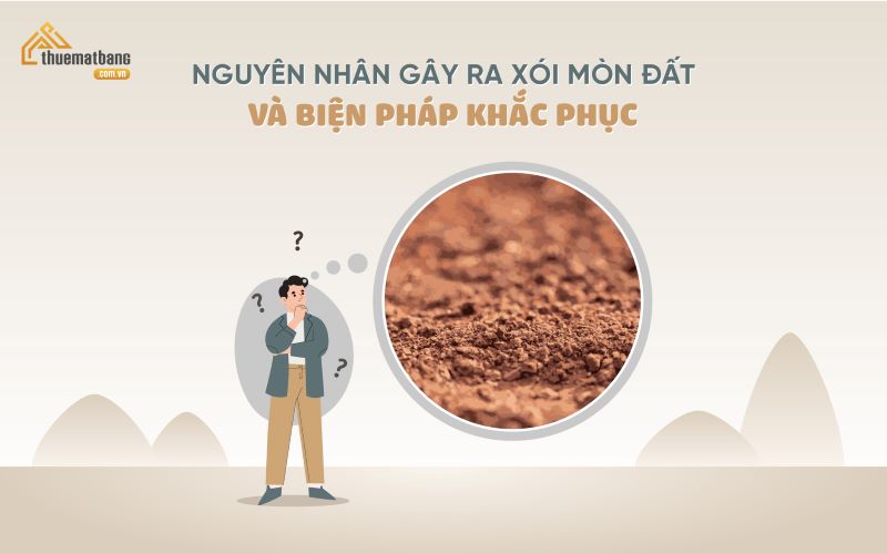 Nguyên nhân gây ra xói mòn đất và các biện pháp khắc phục