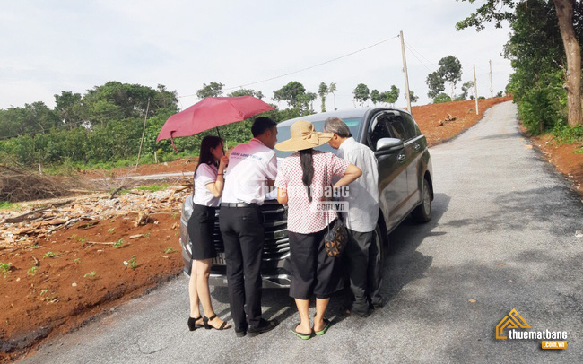 Thị trường bất động sản hiện nay