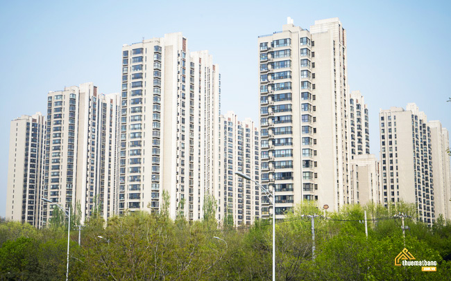 Dịch vụ tòa nhà cho thuê văn phòng, căn hộ thăng hoa mùa dịch tại trung quốc