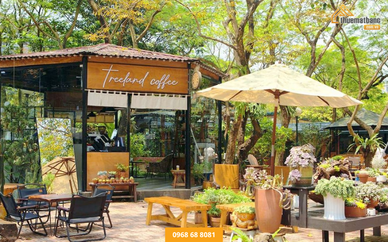 Quán cafe sân vườn mang đến cho khách hàng cảm giác hòa mình vào thiên nhiên