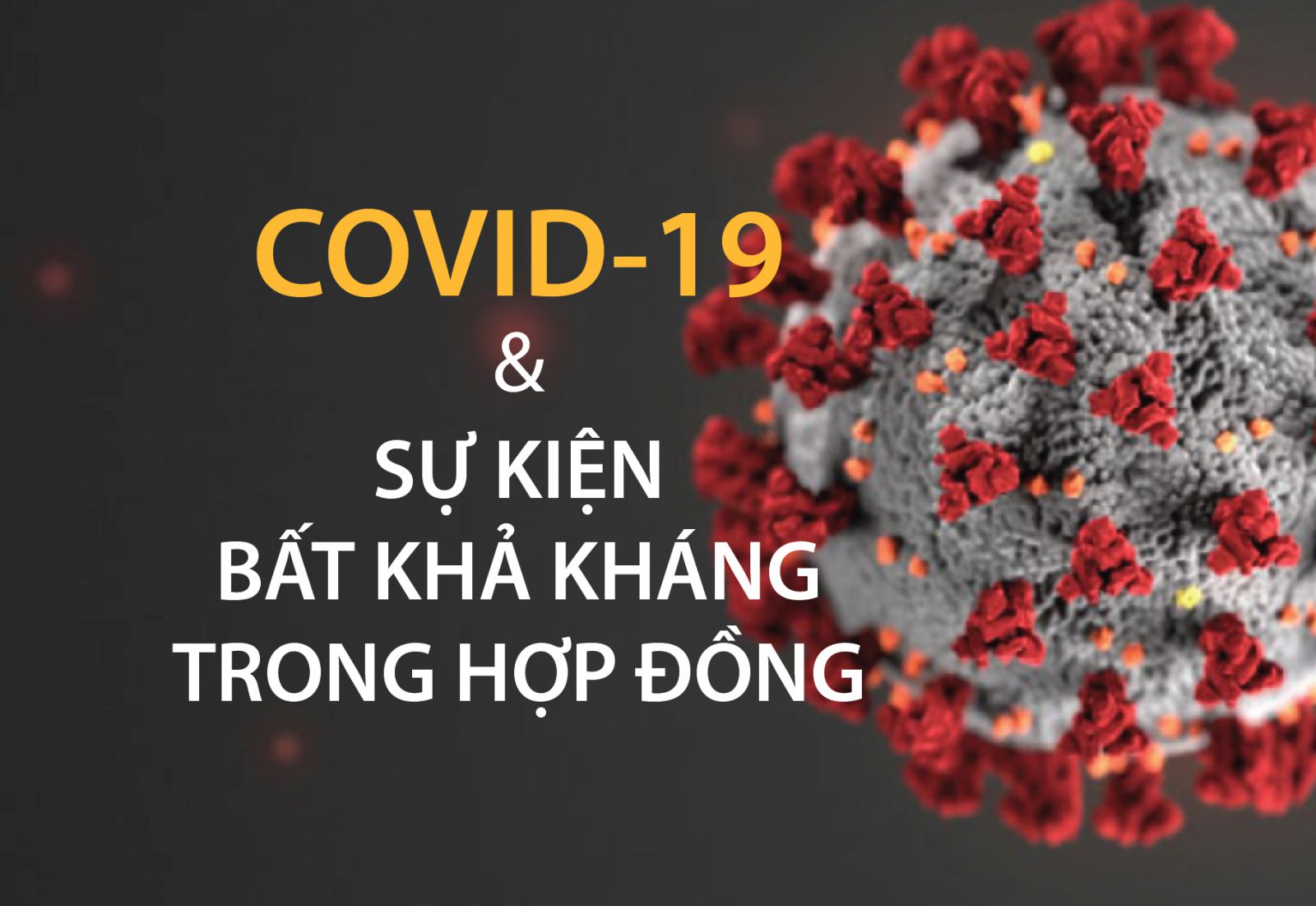 hủy hợp đồng thuê mặt bằng vì dịch covid-19