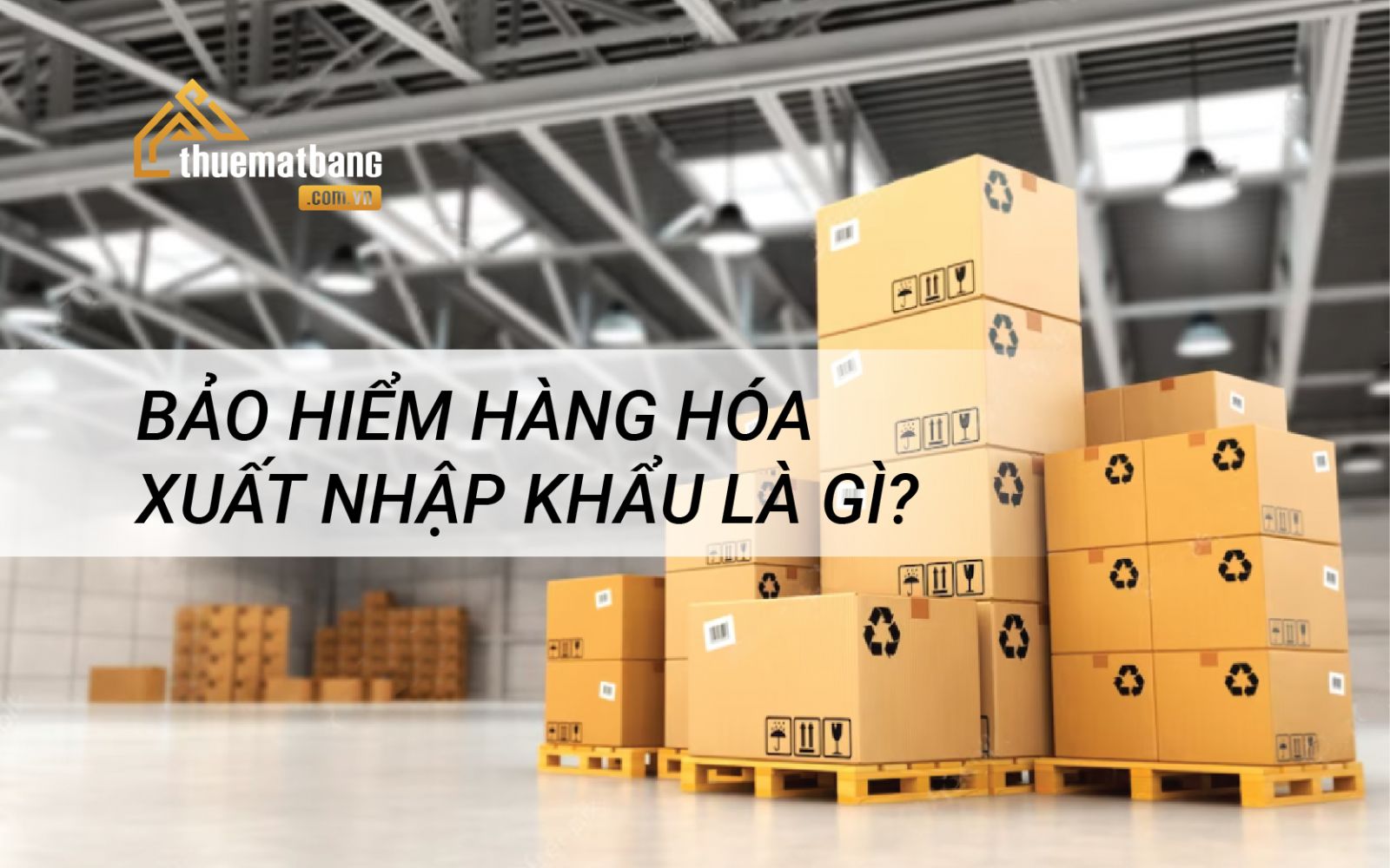 Bảo hiểm hàng hóa xuất nhập khẩu là gì