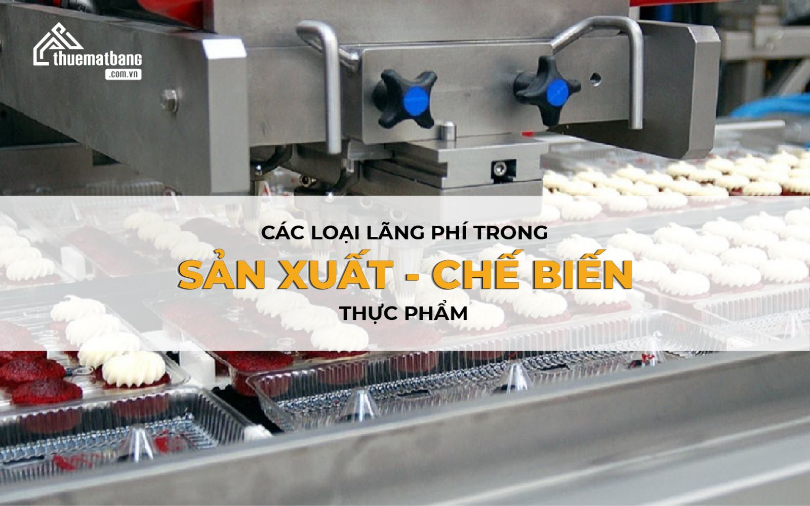 các loại lãng phí trong sản xuất 