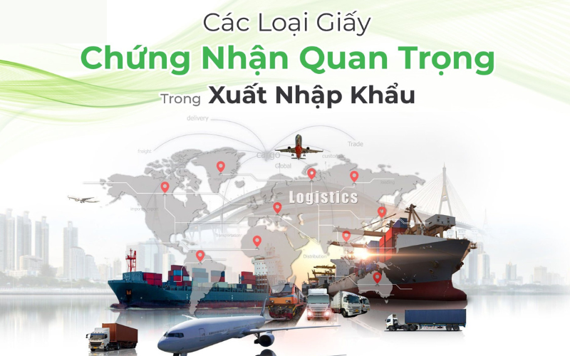 giấy chứng nhận trong xuất nhập khẩu 