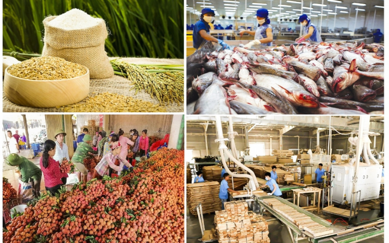 Giấy phép xuất khẩu là gì