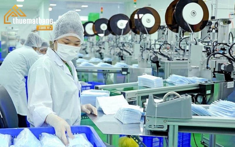 Ngành nghề kinh doanh nào phù hợp với nhà xưởng cao tầng