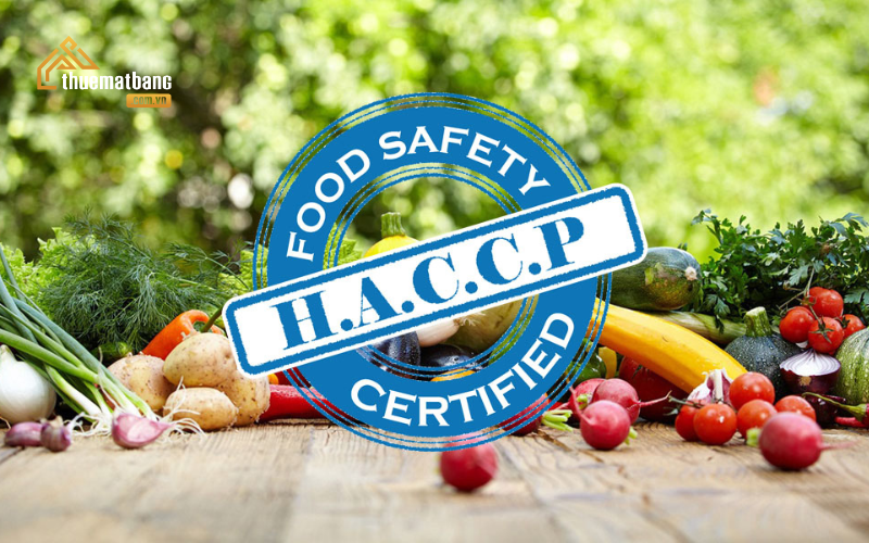 nhà xưởng đạt chuẩn haccp