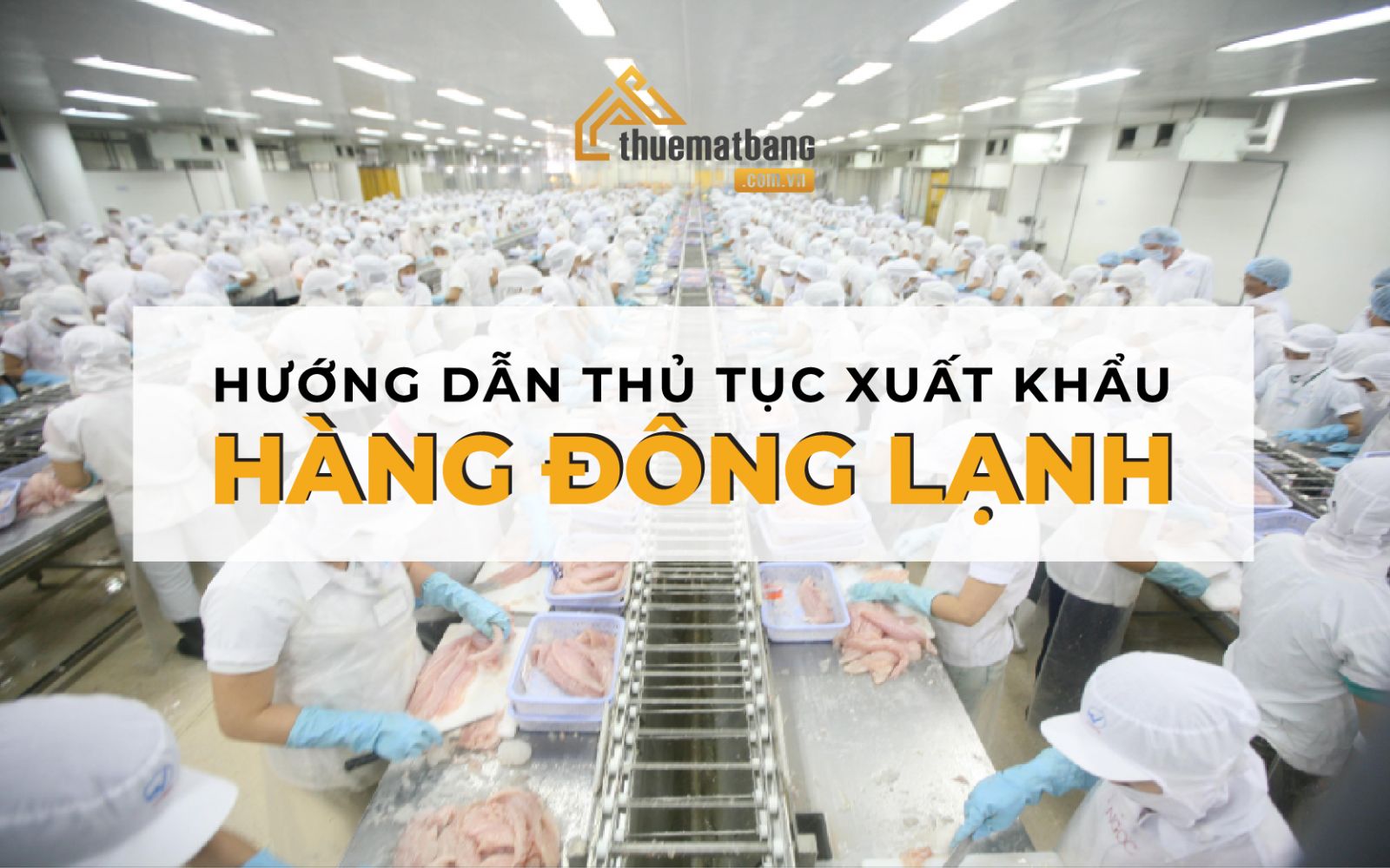 thủ tục xuất khẩu hàng đông lạnh 
