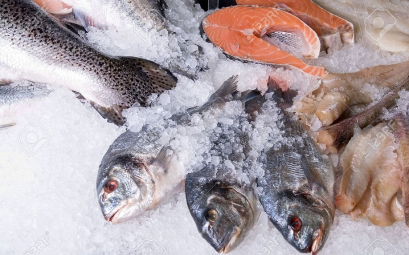 thủ tục xuất khẩu hàng đông lạnh 